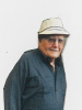Louis Francis D'Angelo (1926 - 2016)