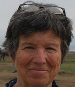 Martha J. Lynch