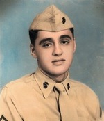 Michael J. Del Viscio