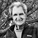 Morris Levy (1929 - 2021)