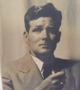 Robert Herzog