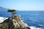 Robert Walter Kupiec (1949 - 2022)