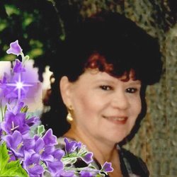 Sandi_Meyers