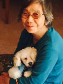 Toshiko_Yamaguchi