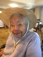 Vandelyn T. Wright (1933 - 2017)