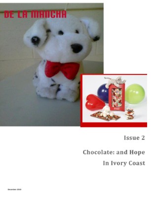 issue preview