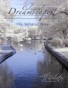 Celestial Dreamscapes