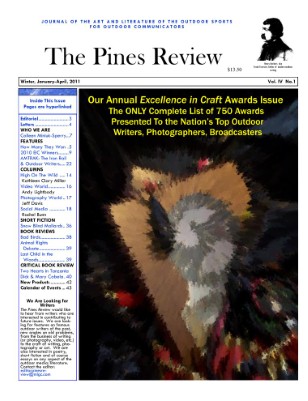 issue preview