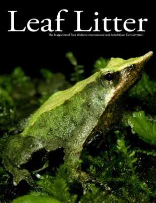Leaf Litter (Vol. 4, Issue 1)