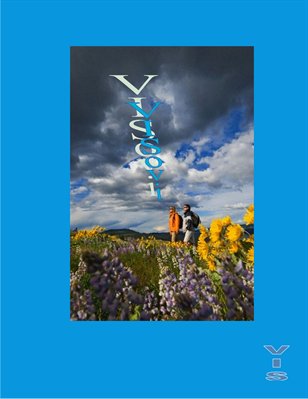 VISovi