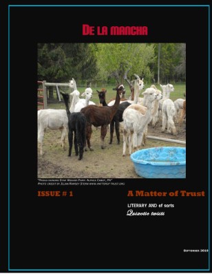 issue preview