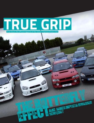 issue preview