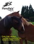 Pony Pals Magazine April 2012 - Vol.1#11