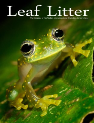 issue preview