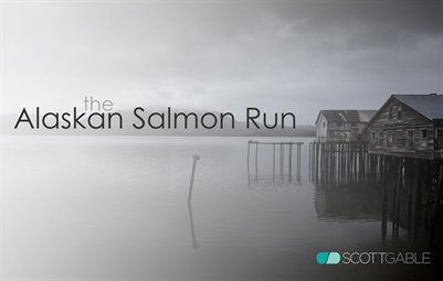 The Alaskan Salmon Run