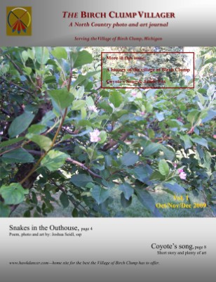 issue preview
