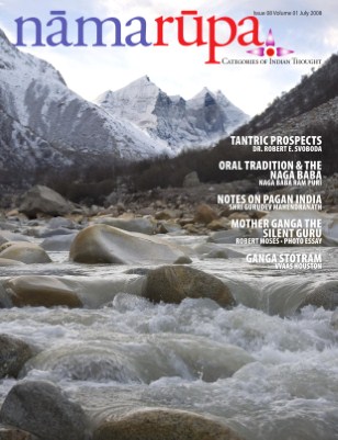issue preview