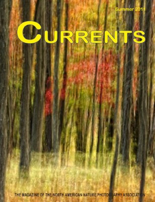 issue preview