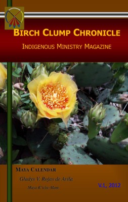 issue preview