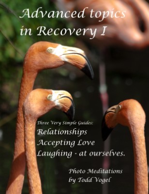 issue preview