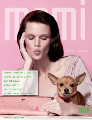 issue preview