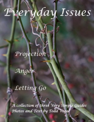 issue preview