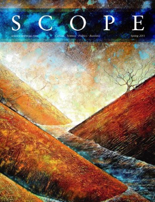 issue preview