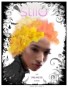 The Dreamier Issue