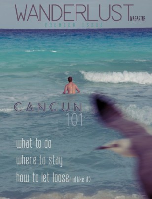 issue preview