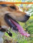 Adventure #2: Jack-o’-lantern Hits the Road