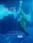 summer 2010 issue