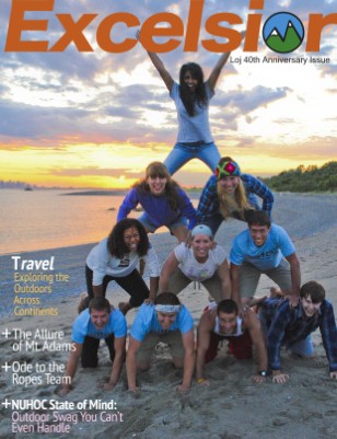issue preview