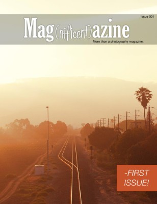 issue preview