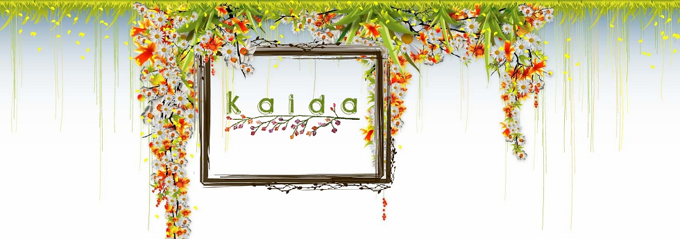 Kaida