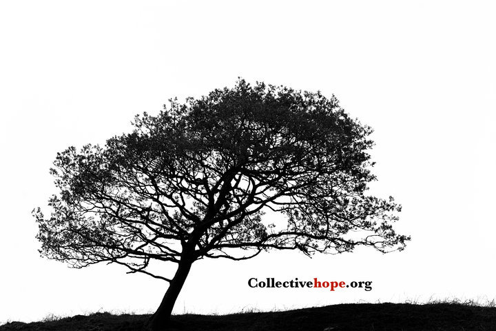 Collective Hope