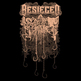Bes_hook_image_small