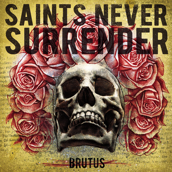 Sns_cover02_large