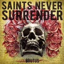 Sns_cover02_medium