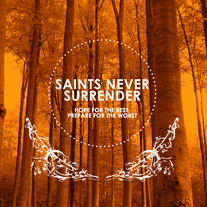 Sns_cover_medium