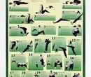 Photo of AIS Lower Body Workout Chart