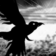 Edgar Allan Poe