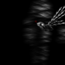 Dark bird