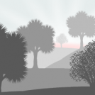 Dawn