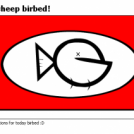 for 35 sheep birbed!