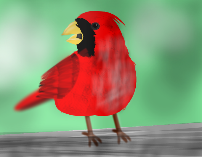 Real Angry bird