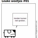 Leuke weetjes #01