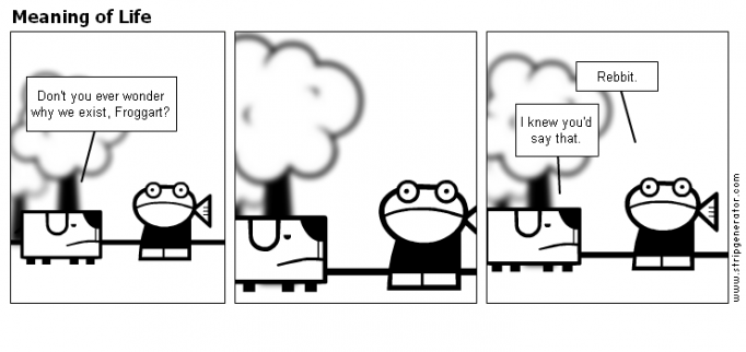 Meaning of Life