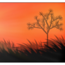 Orange sunset