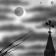 Gray Sky