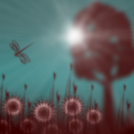 Summer garden